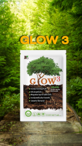 ยาเร่งการเจริญเติบโต โกลว3 จุลินทรีย์เจริญเติบโตของพืช ป้องกันโรคพืช ปรับสมดุลในดิน เพิ่มสารอาหาร