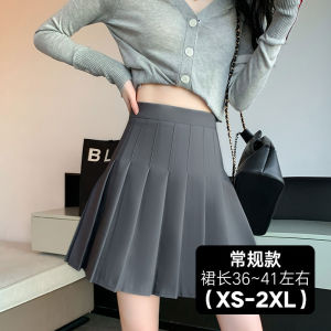 Gray High Waist A-Line Mini Skirt Slimming Pleated Skirt Womens Spring Summer Autumn New Long Version JK Half-length Skirt