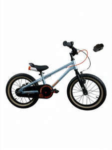 RoyalBaby | Climber Easy Riding Childrens Bicycle