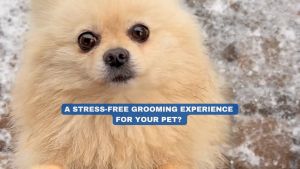 Pet Grooming Vacuum Kit (Cleeneco)