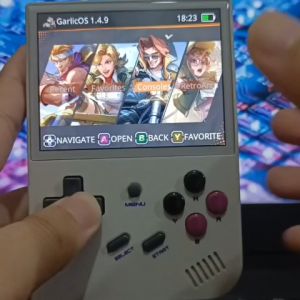 Garlic OS Memory Card for Anbernic RG35XX with Free Request Games Original Sandisk MicroSD Card