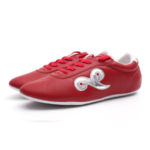 DAYEHENGTONG | Leather Soft Sole Martial Arts Training Shoes