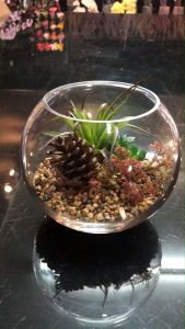 สวนโหลแก้ว กระถางแคคตัสปลอม ต้นไม้ปลอมในโหลแก้ว สำหรับการกระถางและพักผ่อนคลาย