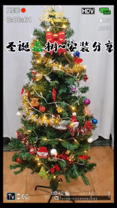 HASOLAR MY 5ft/6ft/7ft/9ft Christmas tree decorations complete with LED light strips and ribbons sturdy and stable structure suitable for parties