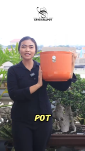 POT BUNGA TANAMAN CITRA JAYA PLASTIK NORDIC TABUNG 35 BAHAN LENTUR - CJP 1135 NORDIC