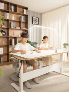 EYESPRO | Adjustable Electric Table for Home Office and Study White