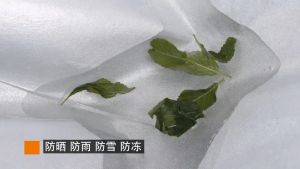 Toyota Innova Car Cover Authentic Polyester 210D Fabric Super Durable Tearproof Nanopore Size YL