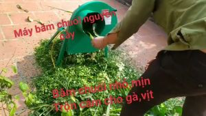 Mua máy băm chuối mịn ở đâu giá rẻ miễn phí ship