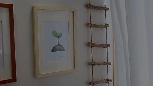 6in/8in/10in/12in(A4)Size Wood Photo Frame Nordic Simple Wooden Frame Transparent Wooden Frame  Wall Photo Frame Home Decor相框