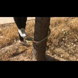 อุปกรณ์ปีนต้นไม้ อุปกรณ์ปีนเสาไม้ รองเท้าเดินป่า + เข็มขัดนิรภัย เข็มขัดปีนหน้าผา เข็มขัดนิรภัย ช่วงที่ปรับได้ 200*400mm อุปกรณ์ปีนต้นไม้ ที่ปีนต้นไม้ ปีนต้นไม้ รุ่น อุปกรณ์ปีนเสาไม้