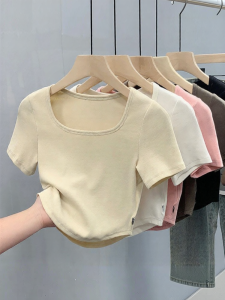 Warrior | Cotton Square Neck Regular Fit T-Shirt