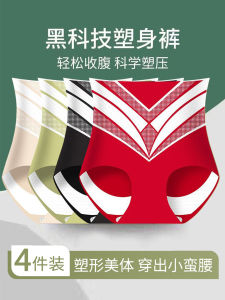 High Waist V-Shape Slimming Ice Silk Womens Underwear Thin Model Shaping Briefs Seamless Comfortable Breathable Ladies Panties