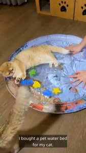 Pet Cooling Mat Pet Water Bed Pet Dog Nest Crawling Mats Waterfilled Ice Mat Summer Cat and Dog Scratchy Durable Large Thickened Pat Water Mat Toy