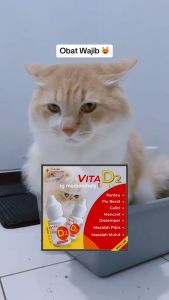 Clever Solutions - VITA D2 (Obat Kucing Obat Virus Kucing Flu Berat Panleu Calici Distemper Mencret Pipis Darah Sariawan Lemes Muntah Bakteri Bersin) [Olive Care Babah Cat House Koinami Uky Cat Red Pet Shop] - Lazada