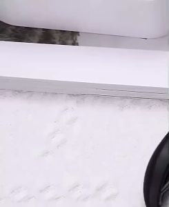 Gunting Kuku Stainless Steel dengan Mata Pisau Melengkung - Tugas Berat Tahan Percikan Rahang Lebar untuk Kuku Tebal Gagang Panjang yang Ergonomis