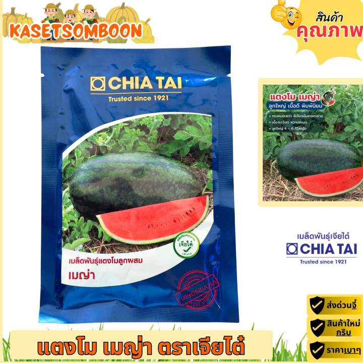 เมล็ดพันธุ์แตงโม เมญ่า แตงโมทรงหมอน หวานละมุน