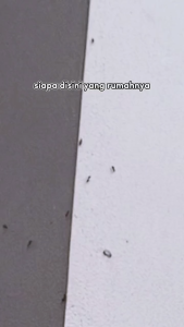 WhatsApp Video 2025-03-26 at 15.54.02.mp4