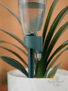 Auto Plant Dripper (No Bottle) Automatic Drip Irrigation Self Watering Slow Release for Plant Flower Vegetable Garden Travel 懒人自动浇水器