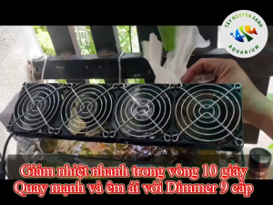 Quạt Tản Nhiệt Hồ Cá – Giảm Nhiệt Độ Hiệu Quả Cho Bể Thủy Sinh / Bể Cá Biển