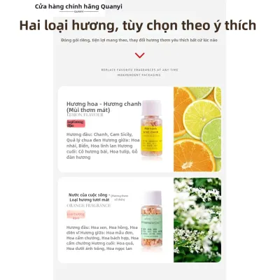 JIJIANG | Nước Hoa Ô Tô Cao Cấp Hợp Kim Zeolite