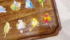 1Pcs Parrot Refrigerator Magnets Acrylic Decorative Fridge Magnet Decor Magnetic Stickers for Kitchen and Home Decor