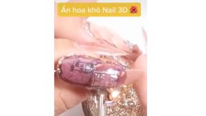 Hoa Khô Trang Trí Móng Set 12 Màu