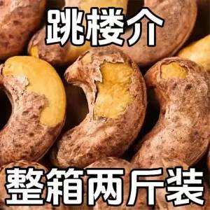 Jumbo Raw with Skin Salted Cashew Snacks 500g