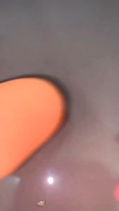 SIKAT PEMBERSIH BOTOL WORTEL 3IN1 & ALAT PEMBERSIH GELAS CANGKIR MUG