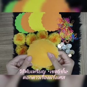 เซ็ต 5 ชั้น ดอกดาวเรืองฝรั่งเศส กระดาษสาห่อเหรียญโปรยทานพร้อมหนังยาง ราคาถูก ใช้สำหรับห่อเหรียญเพื่อโปรยทาน งานทำบุญ งานบวช