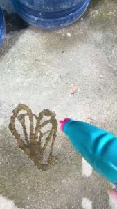 【1 กล่อง 4 ขวด】Rabbit น้ำยาทำความสะอาดโถสุขภัณฑ์แบบไม่ต้องขัด กำจัดเชื้อโรคและแบคทีเรียได้ถึง 99% ขจัดคราบสกปรก รักษาความสะอาดและสดชื่น เป็นมิตรต่อสิ่งแวดล้อม 1กล้องบรรจุ3ขวดเลย