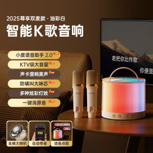 Berlin Sound Home KTV Kit Integrated Microphone Speaker Bluetooth Connection Family Audio Video Appliances Handheld Mic