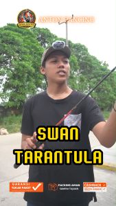 Swan Tarantula 165180cm Joran Pancing 8-17lb Carbon Full Eva Japan Material