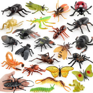 JIFANPAUL | Insect Toy Simulation Animal Model Set with Mosquitoes Scorpions Mantises Butterflies Rhinoceros Beetles and Spiders