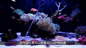 Ống acrylic bơm thức ăn cho cá san hô hút phân cặn thay nước bể store