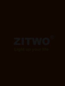 ZITWO 13Pcs For Ford Explorer 2006 2007 2008 2009 2010 LED Interior Dome Reading Map Luggage Light Kit Car Bulbs Accessories