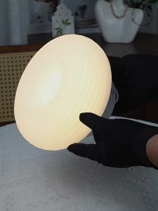 DGY | Nordic Modern Apple LED Ceiling Light 2740K Warm Light