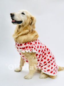 Spring New Pure Cotton Dog Dress with Ruffle Bubble Sleeves Golden Retriever Pet Clothes Princess Style One-Piece Dress