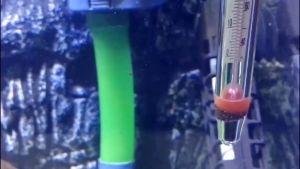 Aquarium Glass Thermometer Waterproof High Accuracy Water Temperature Measurement Thermometer For Fish Tank
