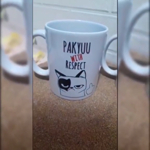 Pakyuu with respect Funny mood mug Meow Mug Cups and Tees