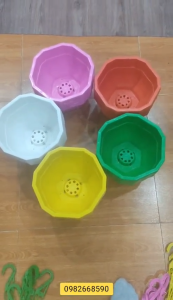 Bộ 10 chậu Lục Giác Nhựa Cao Cấp – Trồng Cây Cảnh Sen Đá Xương Rồng Trang Trí Ban Công