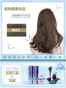 Natural Tea Color Hair Dye Pure Cream Gel No Perming Mist Female Top Ten Brands Bubble Free Hair Coloring Agent