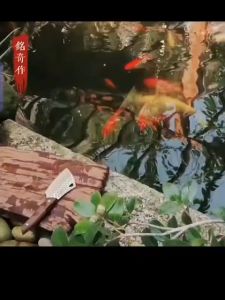 fish knife small fish knife butcher fish small kitchen knife sharp stainless steel fish stall business with cutting vegetables and meat slices fruit knife