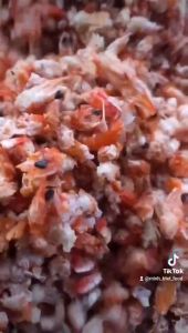 ĐẦU TÔM BIỂN KHÔ THIÊN NHIÊN-Vụn Thịt Đầu Tôm Khô dùng nấu canh hoặc súp ĐẶC SẢN MINH TRIẾT