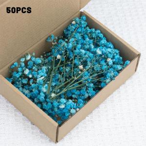 50pcs Natural Fresh Dried Gypsophila Paniculata Babys Breath Flower Bouquets Long Lasting For Wedding Home Decoration Gift