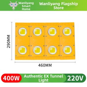 WANLIYANG | Explosion-proof Tunnel Light 100W