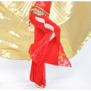 Fashion Side Slit Belly Dance Practice Clothes Lace Pants