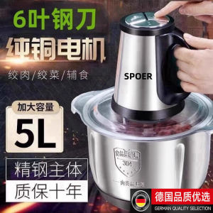Large Capacity 5L Stainless Steel 304 Automatic Home Use Meat Grinder Garlic Paste Vegetable Grinding Machine FZY-20250819
