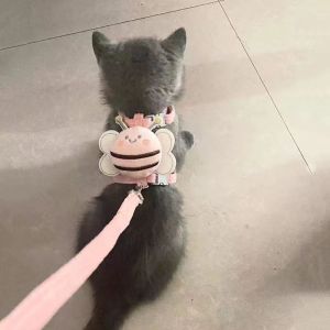Adjustable Cat Leash for Outdoor Walking Pet Supplies Cat Harness No Pulling Durable Material Non Extensible Leash by Amor