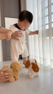 Chó bông chạy pin có nhạc cho bé – Thú cưng đồ chơi biết đi sủa và vẫy đuôi nhiều màu