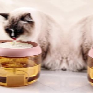 น้ำพุสัตว์เลี้ยงอัตโนมัติ ระบบกรอง4ชั้น ที่ให้น้ำอัตโนมัติ วัสดุปลอดภัย ประหยัดพื้นที่ กรองการไหลเวียน น้ำพุแมว